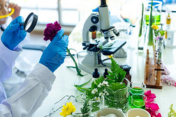 科學發(fā)展觀與自然科學研究和試驗發(fā)展的內(nèi)在統(tǒng)一