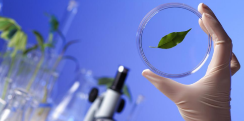 聚焦生命科學前沿 知名生物學期刊與自然科學研究的發(fā)展